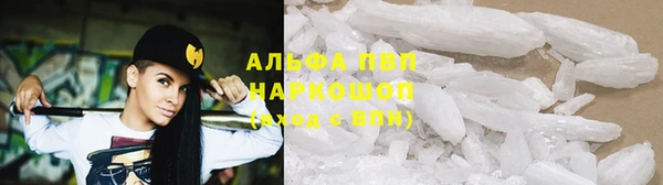 гашик Беломорск